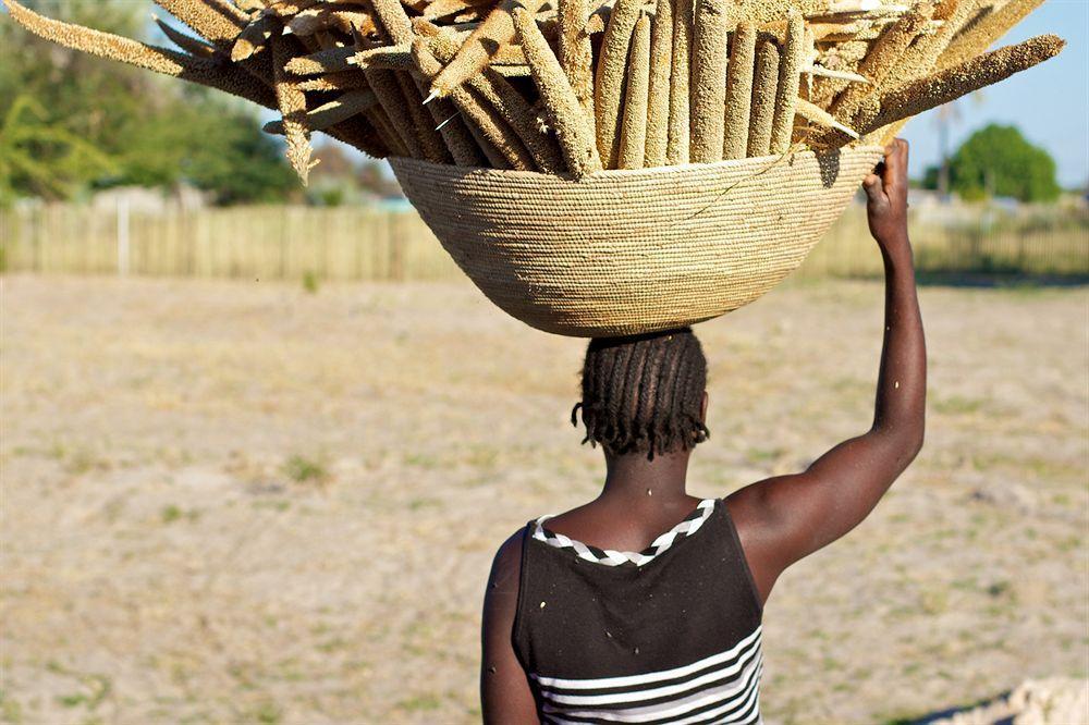 Ongula Village Homestead Lodge Ondangwa Buitenkant foto