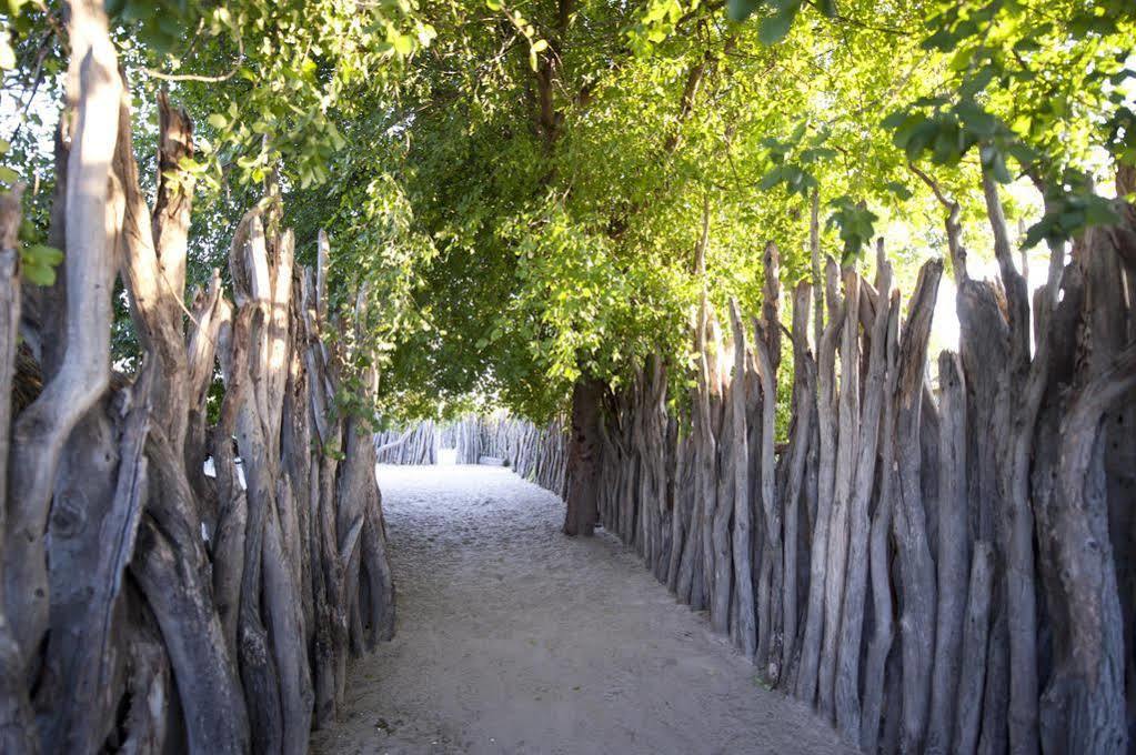 Ongula Village Homestead Lodge Ondangwa Buitenkant foto