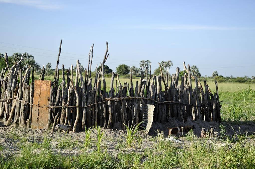 Ongula Village Homestead Lodge Ondangwa Buitenkant foto