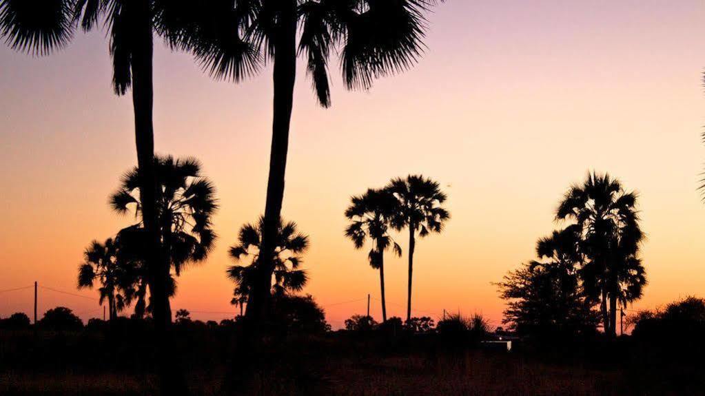 Ongula Village Homestead Lodge Ondangwa Buitenkant foto